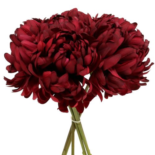 Floristik24 Chrysanthemenstrauß Bordeaux 28cm 6St