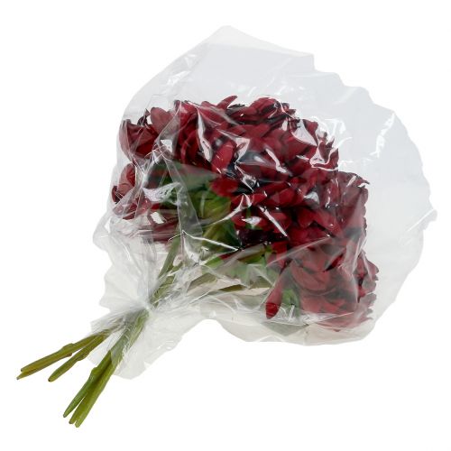 Floristik24 Chrysanthemenstrauß Bordeaux 28cm 6St