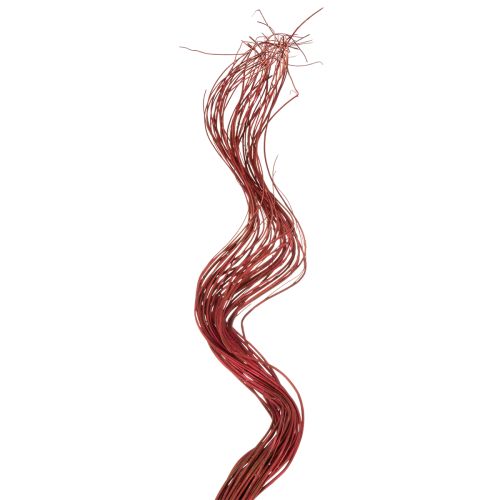 Floristik24 Curly Willow Getrockneter Deko Zweig für kreative Floristik und Wohnaccessoires 80cm 70g