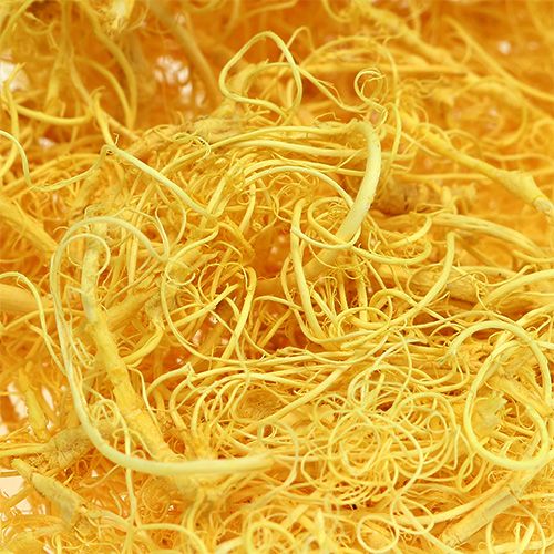 Floristik24 Curly Moos Hellgelb 350g