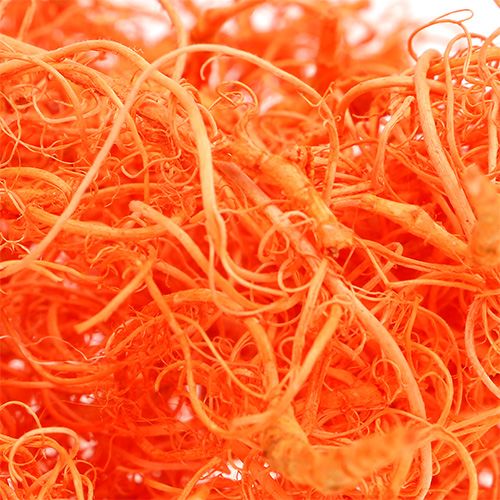 Floristik24 Curly Moos Orange 350g