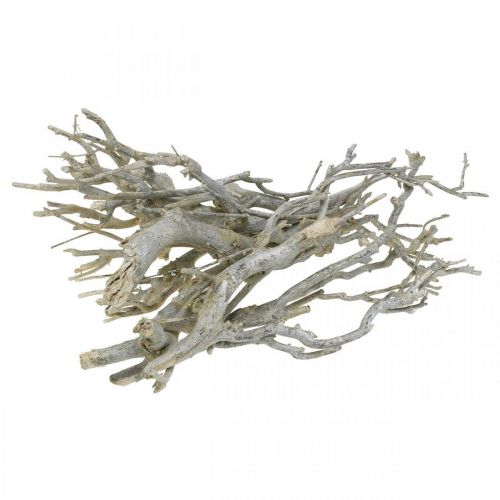 Dekozweige Currybusch, Weihnachtsdeko, Advent, Naturdeko Golden, Weiß gewaschen L25–30cm 500g