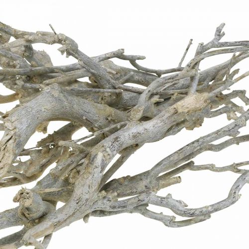 Floristik24 Dekozweige Currybusch, Weihnachtsdeko, Advent, Naturdeko Golden, Weiß gewaschen L25–30cm 500g