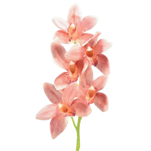 Floristik24 Cymbidium Orchidee künstlich 5 Blüten Peach 65cm