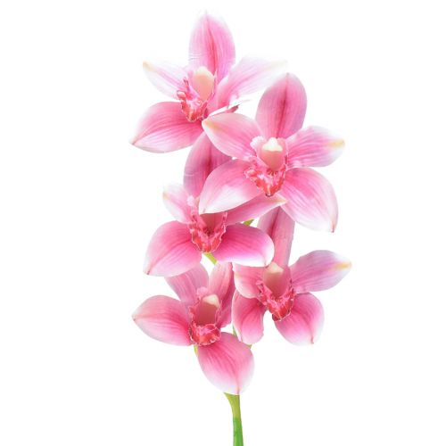 Floristik24 Cymbidium Orchidee künstlich 5 Blüten Rosa 65cm