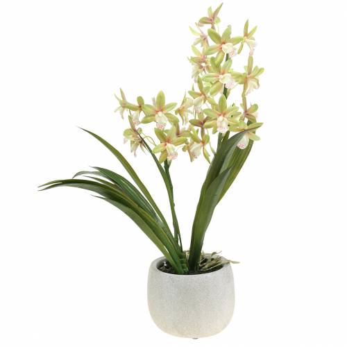 Floristik24 Orchidee Cymbidium Grün im Topf Künstlich H46cm