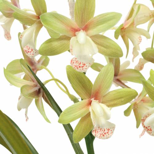 Artikel Orchidee Cymbidium Grün im Topf Künstlich H46cm