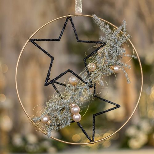 Floristik24 DIY Box Fensterdeko Weihnachten Schwarz Gold Draht Ø30cm