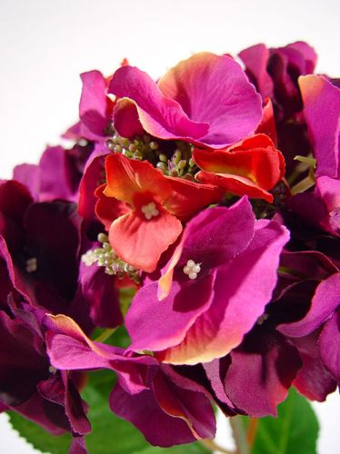 Floristik24 Hortensie 43cm dunkel purple (3St.)