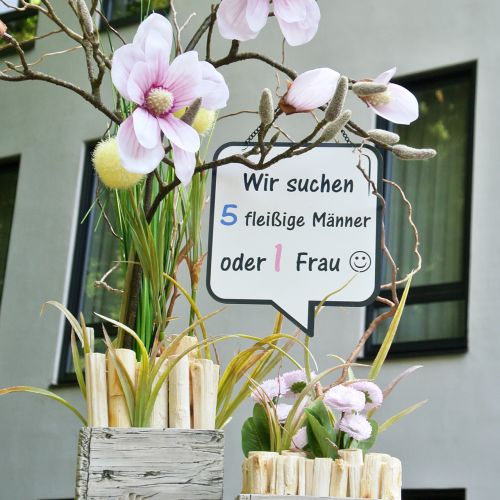 Floristik24 Schild zum Aufhängen „Männer und Frauen“ 21cm x 18cm 3St