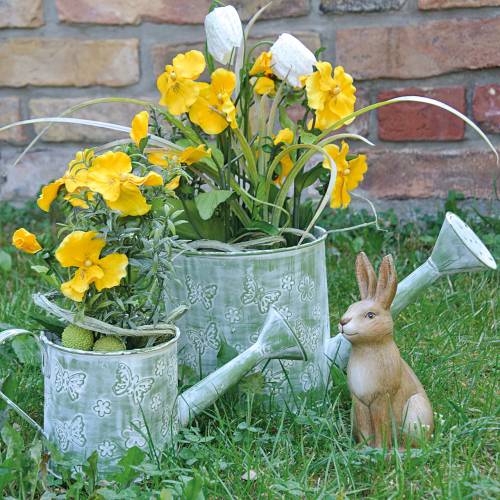 Floristik24 Pflanzgefäß Gießkanne mit Schmetterlingen Pink Ø10cm H10cm