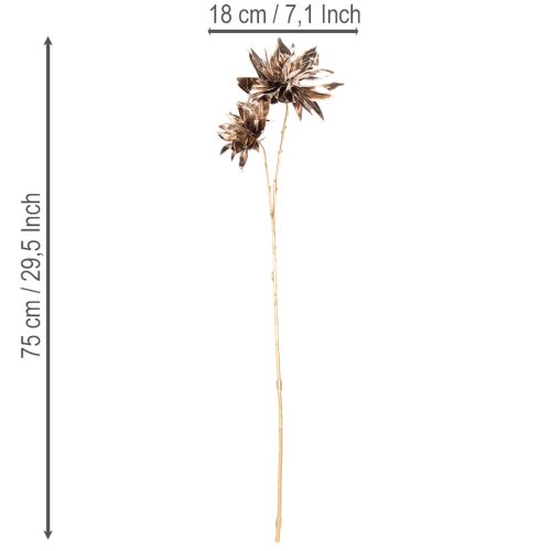 Künstliche Dahlie mit zwei Blüten, 75 cm, Metallic Champagner | Floristik24.at