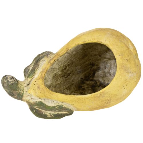 Artikel Dekorative Birne als Pflanzgefäß für Herbstdekoration