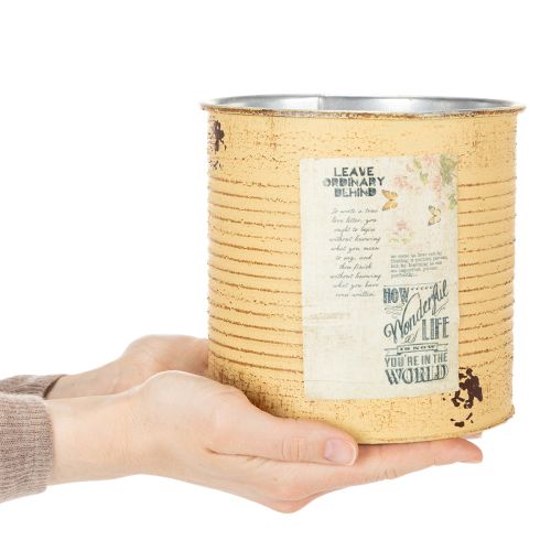 Deko-Pflanzgefäß Metall Apricot Ø15,5cm H15cm für Innen- und Außenbereich | Floristik24.at
