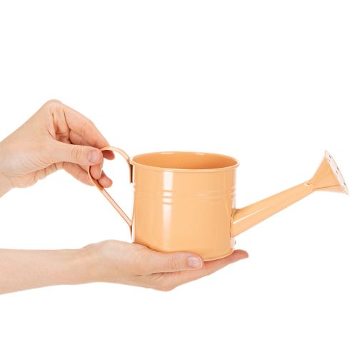 Deko-Gießkanne Set aus Metall Ø11cm H10cm in Pastellfarben Lachs, Grün, Gelbgrün – 8 Stück | Floristik24.at