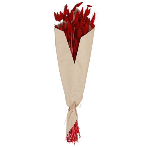 Floristik24 Deko Gras Rot Lagurus Trockenblumen Hasenschwanzgras 50g