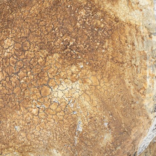 Artikel Deko Hase Figur für frühlingshafte Wohnakzente 32cm 2St