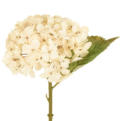 Deko Hortensien künstlich Creme Seidenblumen 34cm 2St