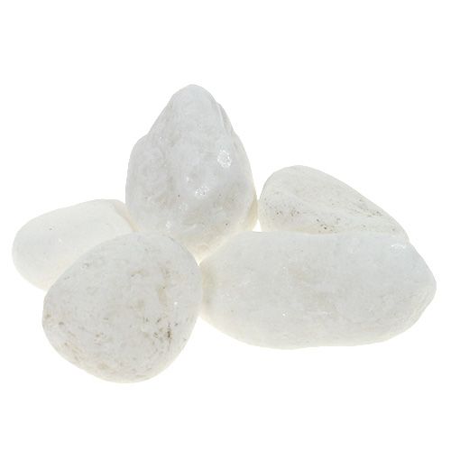 Floristik24 Deko Kieselsteine im Netz Weiß 1cm - 2,5cm 1kg