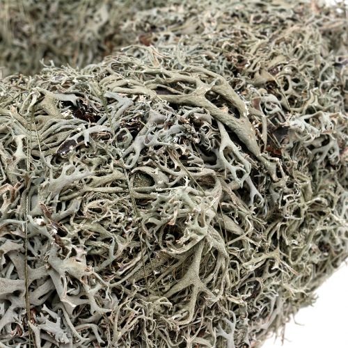 Floristik24 Deko Kranz, Mooskranz Grau Ø38cm 1St