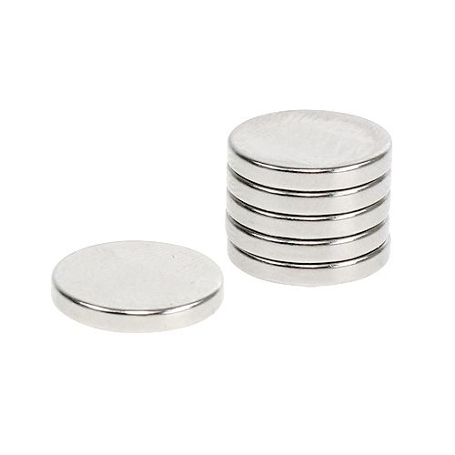 Floristik24 Deko-Magnete Ø1,3cm 6St