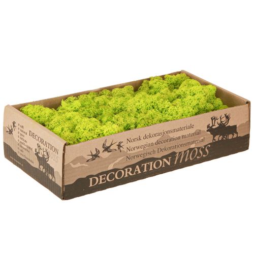 Artikel Deko Moos Hellgrün Islandmoos konserviert 400g