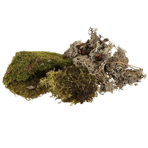 Artikel Deko-Moos zum Basteln Mix Grün, Hellgrün Naturmoos 75g