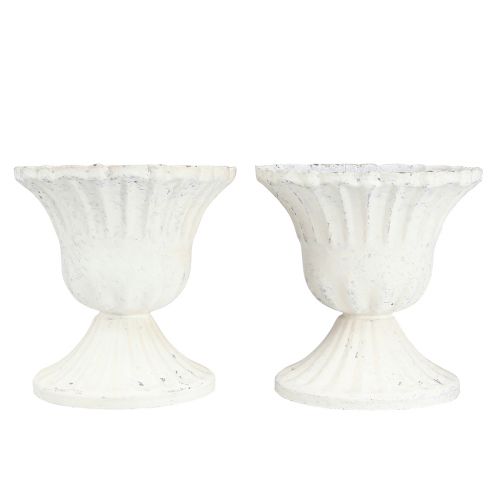 Floristik24 Deko Pokal Shabby Chic Kelch Weiß Ø8cm H8,5cm 2St