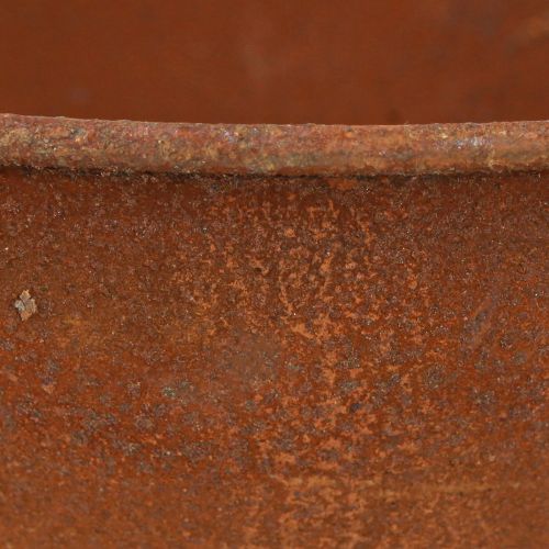 Artikel Deko Schale mit Fuß Pokalschale Rost Metall Ø20,5cm 2St