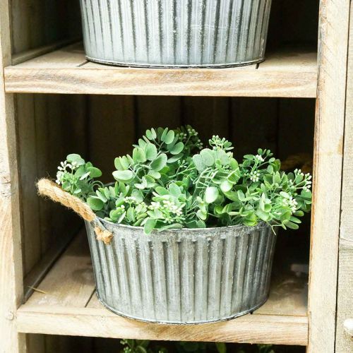 Floristik24 Deko-Schale, Pflanzgefäß mit Henkeln, Blumenschale zum Bepflanzen Ø25cm
