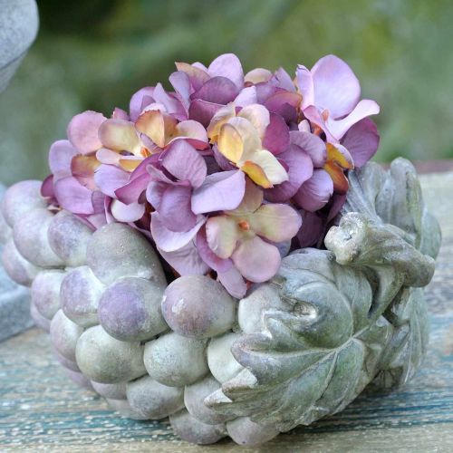 Floristik24 Deko-Schale Weintrauben Grau Lila Creme 19×14cm H9,5cm