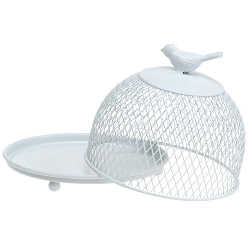 Floristik24 Deko Teller mit Haube Weiß Ø14cm