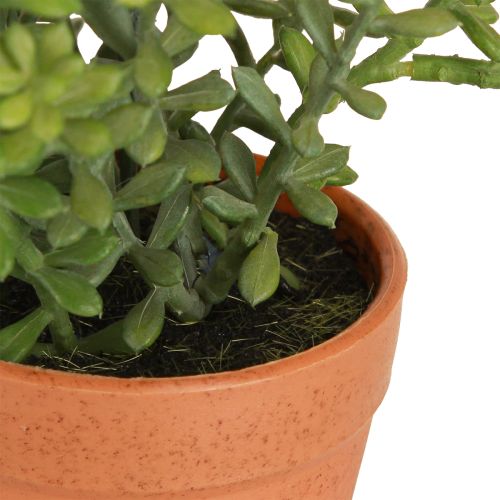Artikel Deko Thymian im Topf Künstliche Kräuter Küchendeko 25cm