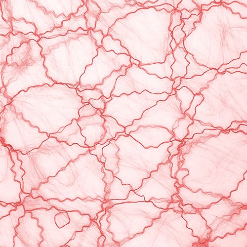 Floristik24 Deko Vlies Tischband Rot 30cm 5m
