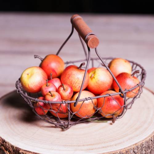 Artikel Deko-Äpfel Cox 4cm 24 St