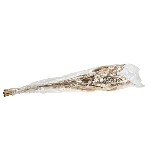 Floristik24 Deko Blätter Natur 120cm 20St