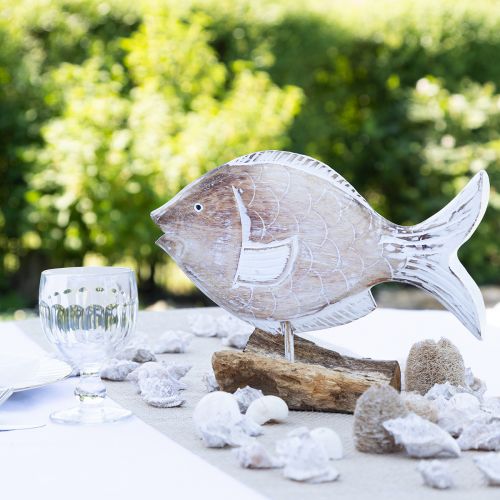 Floristik24 Deko-Fisch Holz Aufsteller auf Wurzel Maritime Deko 27cm