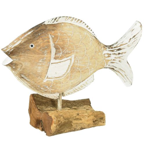 Floristik24 Deko-Fisch Holz Aufsteller auf Wurzel Maritime Deko 27cm