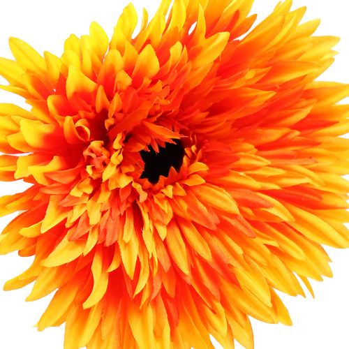 Floristik24 Deko Gerbera Orange Ø15cm L88cm