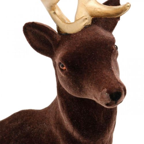 Floristik24 Deko Hirsch groß Braun Gold Dekofigur Weihnachten 40cm