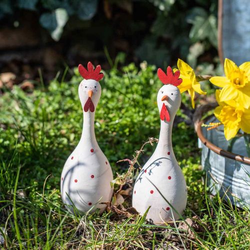 Floristik24 Deko Huhn Holz Weiß mit Punkten Osterfigur Ø7cm H20cm