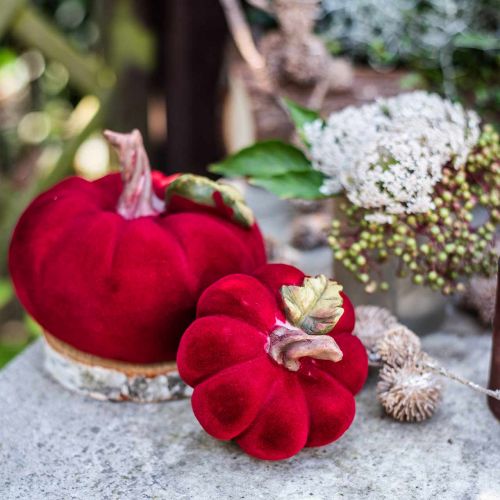 Floristik24 Deko Kürbis Rot Tischdeko Herbst Polyresin 10,5×9cm 2St