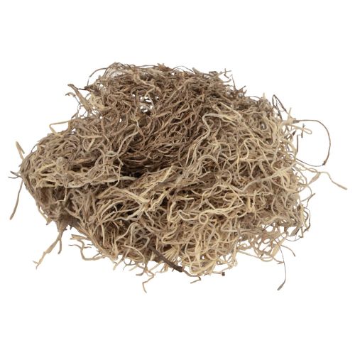 Floristik24 Deko Moos getrocknet Waldmoos Naturbraun Naturdeko 300g