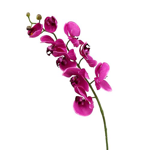 Floristik24 Deko Orchidee Pink L77cm