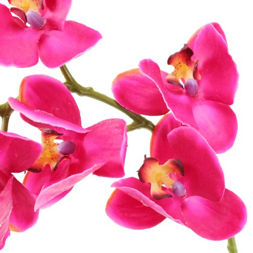 Artikel Künstliche Orchidee Fuchsia 77cm
