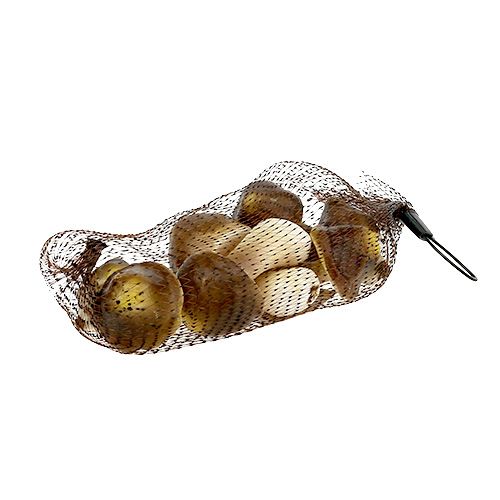 Floristik24 Deko Pilze im Netz 5-8cm sort. braun 8St