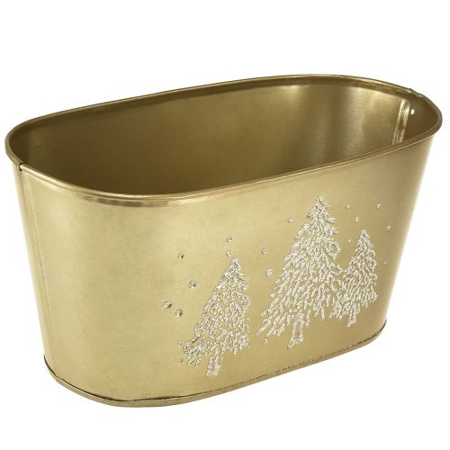 Floristik24 Deko Schale oval Tannenbaum Übertopf Gold 24×13×12,5cm