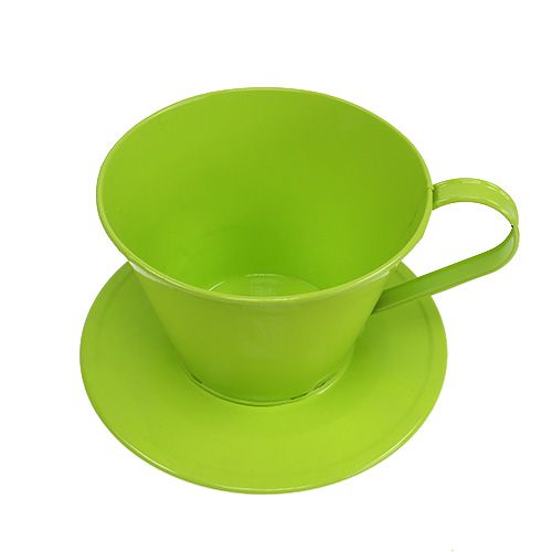 Floristik24 Deko-Tasse mit Teller Grün Ø16cm H11cm