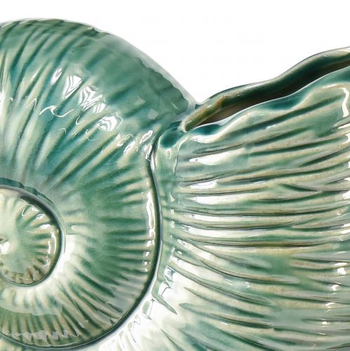 Floristik24 Deko Vase Schneckenhaus Keramik Grün 18x8,5x15,5cm