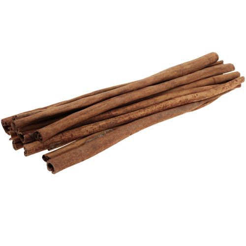 Floristik24 Deko Zimtstangen im Bund Zimt Weihnachtsdeko 40cm 500g